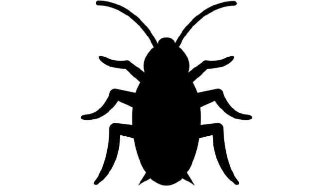 Cockroach Control